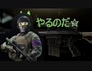 【EFT】カスタムを破壊するのだ