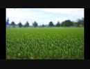 【DIY商品紹介】オリジナル人工芝・Sターフ／朝日工業