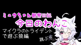 【茶番】ミュウちゃん観察日記　トライデントでぴょんぴょん編