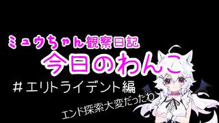 【茶番】ミュウちゃん観察日記　エリトライデントで滑空編