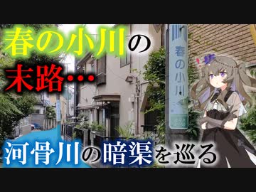 春の小川の末路…河骨川の暗渠を巡る【VOICEVOX暗渠】