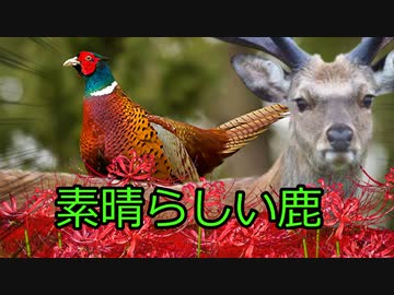 【新クトゥルフ神話TRPG】火まつり　part6【ゆっくりTRPG】