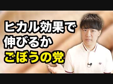 突如現れた「ごぼうの党」ってなんだ？【参院選公示】