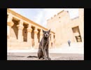 Ταξίδι Αίγυπτος | exotictrips.gr