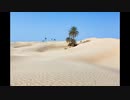 Tαξίδι Τυνησία | exotictrips.gr
