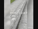 STEPNと八正道分  /  44A