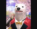 くまうた　（6401）「寝不足七」　唄：嵐山クマ男（夫）