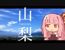 茜ちゃんロードバイク！～初夏の山梨編～【A.I.Voice車載】