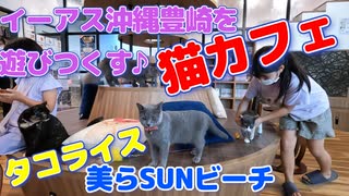 【沖縄】イーアス沖縄豊崎を遊びつくす♪　猫カフェ　ショッピング　フードコート　