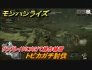 モンハンライズ　サンブレイクに向けて操作練習　トビカガチ討伐　大剣　＃６５９【ＭＨＲ】