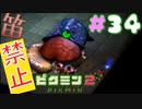 【笛禁止！】笛を吹くことができない主人公の冒険【ピクミン2実況】#34