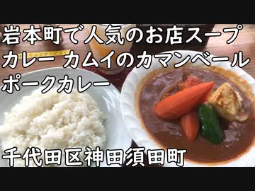 千代田区神田須田町 岩本町で有名なスープカレーのカムイ『カマンベールポークカレー』／Camembert pork cheese soup curry