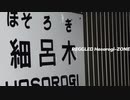REGGLED HOSOROGI-ZONE（WRIGGLED ZONE×RED ZONE×細呂木駅）