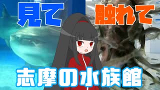 【日帰り一人旅】志摩マリンランドで海の生き物と触れ合う！