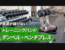 【筋トレ】トレーニングバンドを使ったダンベル・ベンチプレスのやり方【ビーレジェンド プロテイン】