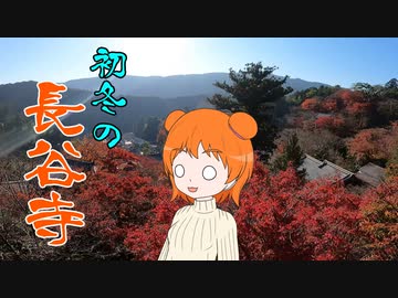 【ギリ紅葉】お花のお寺、長谷寺を回る！