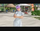 【DoaX3】イベントパラダイス ランダム  062408