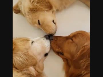 ホモと見る3P