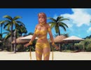 【DoaX3】イベントパラダイス ランダム  062408