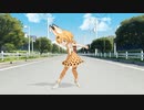 サーバルエアリアル