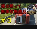【EURO TRUCK SIMULATOR2】ユーロ式運転秘儀、横走り【ウメダ】Part3