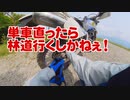 お久しぶりの瀞川氷ノ山林道