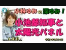 「小池都知事と太陽光パネル」(前半) 小林ゆみ  AJER2022.6.23(1)