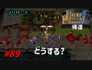 [89]エムブレマーが征く蒼炎の軌跡マニアック 終章の2