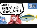 琴葉姉妹漫才「ブリの養殖」