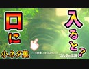クリアした神獣内部に入るとやばい&デクの樹サマの口の中に入ると？など小ネタ集【ブレワイ BotW】裏技 バグ 検証 ゆっくり実況 glitch