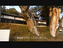 笠間市 西念寺③　2021年11月30日
