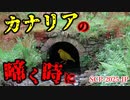 【ゆっくり解説】炭鉱の奥に潜むものの正体とは… カナリアの啼く時に　SCP-2025-JP