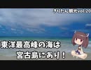 きりたん豪遊旅行20【ウミガメと泳ぐ宮古島②】