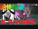 【MHRise】左右のまったり狩猟記 #9【実況プレイ】