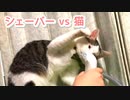 猫VSシェーバー