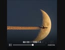 【歌ってみた】オリジナル曲「隣に行っても良いですか」＋4キー coverd by YOKO（作詞：神野守、作曲：Sound by Itself、歌：YOKO）