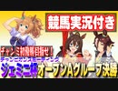 【ウマ娘・ジェミニ杯オープン決勝】遂に初優勝か？上位3人気独占！【ナレーション式競馬実況付き】