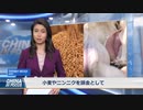 小麦やニンニクで住宅が買える？  不動産業者の販促キャンペーン