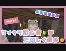 【Minecraft実況】初心者がマイクラを遊ぶ！【Part 10 作業報告】