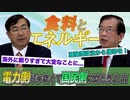 【エネルギーの自立】僕は原発に反対派じゃなく「安全な」原発に賛成派です！まず国民側に立って考えよう！政党DIY→参政党 松田学×武田邦彦】 #163