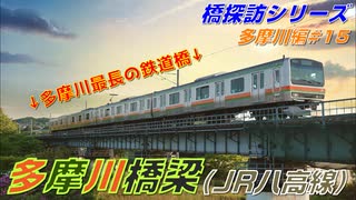 【橋探訪（多摩川編）#15】多摩川橋梁（JR八高線）で通過列車を満喫したい