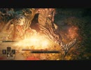 【初見】日本語が怪しいのに初実況にエルデンをリングする。Part16