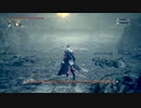 【Bloodborne実況】中年BBAのBloodborne久々プレイ　第三十八回目