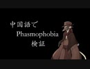 【Phasmophobia】イフさんの考察手帳【虚音イフ】