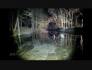 【第14回東方ニコ童祭】水鏡静寂　～ nocturnal pond【東方自作アレンジ】