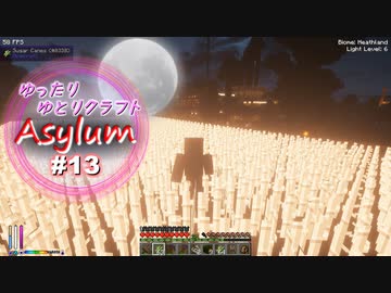 【Minecraft】ゆったりゆとりクラフトAsylum # 13
