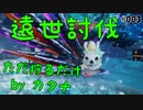 ただただエンシェントを狩る【PSO2 NGS アークス業# 003】