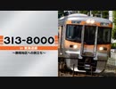 【JR東海】313系8000番台 in 東海道線 〜静岡地区への旅立ち〜