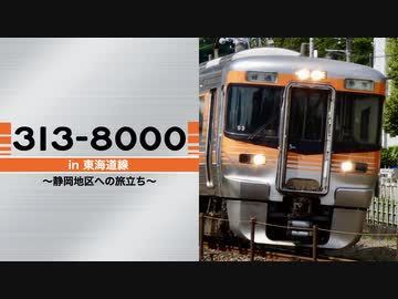 JR東海】313系8000番台 in 東海道線 〜静岡地区への旅立ち