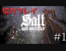 【二人実況】ソウルライク２Ｄアクションを協力プレイでクリアするって言ってんの！｜ソルトアンドサクリファイス　＃1